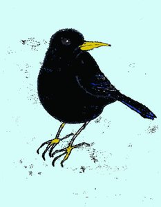 黑鸟，2009年（纸上的油墨）